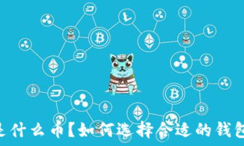   
USDT是什么币？如何选择合适的钱包下载？