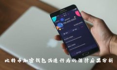 比特币加密钱包伪造行为