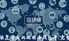 如何恢复丢失的比特币钱