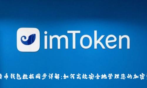 比特币钱包数据同步详解：如何高效安全地管理您的加密资产