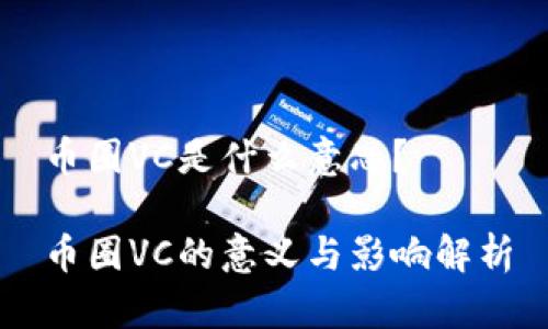 币圈VC是什么意思？

币圈VC的意义与影响解析