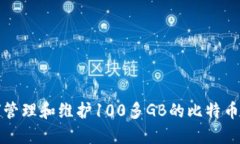 如何管理和维护100多GB的比