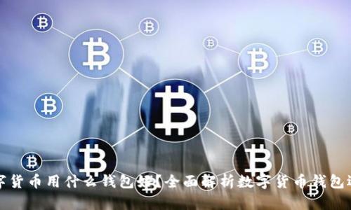 存放数字货币用什么钱包好？全面解析数字货币钱包选择指南