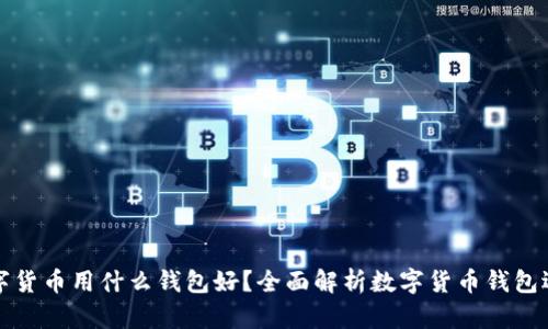 存放数字货币用什么钱包好？全面解析数字货币钱包选择指南