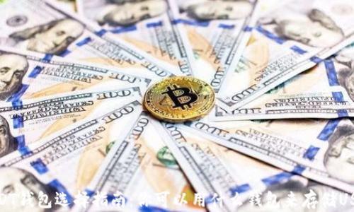 
USDT钱包选择指南：你可以用什么钱包来存储USDT