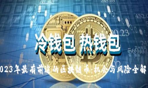 2023年最有前途的区块链币：机会与风险全解析