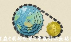 如何在《我的世界》中找