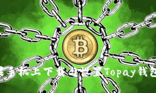 如何在苹果手机上下载与设置Topay钱包：完整指南