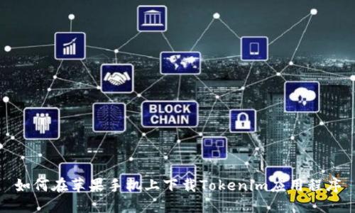 如何在苹果手机上下载Tokenim应用程序