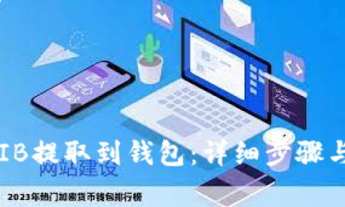 如何将SHIB提取到钱包：详细步骤与注意事项