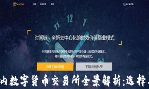 
2023年国内数字货币交易所全景解析：选择与安全指南