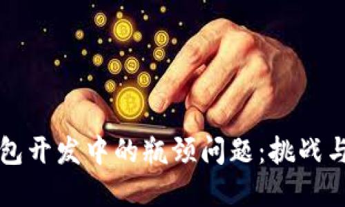 区块链钱包开发中的瓶颈问题：挑战与解决方案