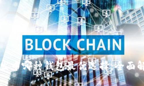 区块链开发中哪种钱包最优选择：全面解析与对比