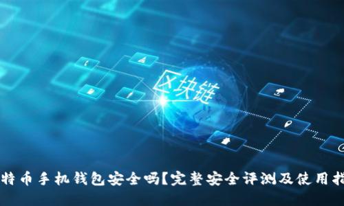 比特币手机钱包安全吗？完整安全评测及使用指南