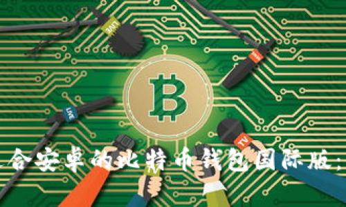 如何下载适合安卓的比特币钱包国际版：全方位指南