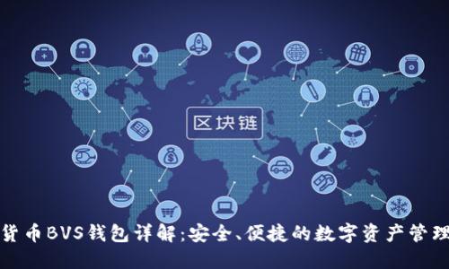 数字货币BVS钱包详解：安全、便捷的数字资产管理工具