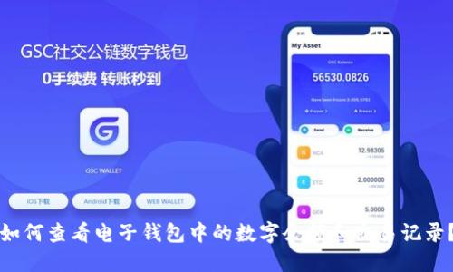 如何查看电子钱包中的数字余额和交易记录？