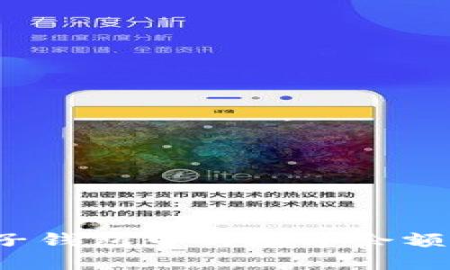 如何查看电子钱包中的数字余额和交易记录？