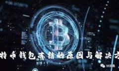 比特币钱包冻结的原因与