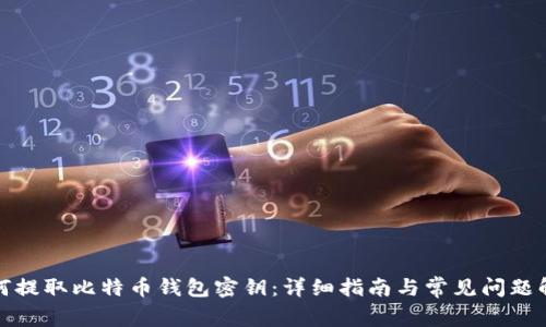 如何提取比特币钱包密钥：详细指南与常见问题解答