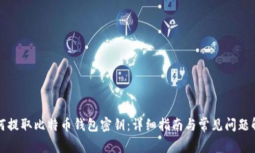 如何提取比特币钱包密钥：详细指南与常见问题解答