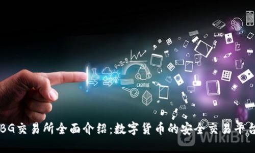 BG交易所全面介绍：数字货币的安全交易平台