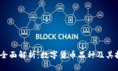 2023年全面解析：数字货币