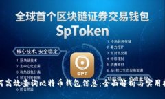 如何高效查询比特币钱包