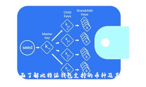 全面了解比特派钱包支持的币种及其优势
