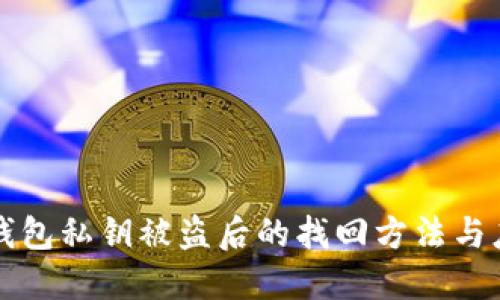 虚拟币钱包私钥被盗后的找回方法与应对策略