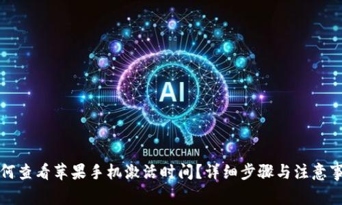 如何查看苹果手机激活时间？详细步骤与注意事项