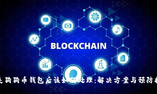 丢失狗狗币钱包后该如何处理：解决方案与预防措施