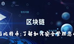 虚荣钱包与比特币：了解