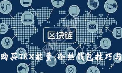 如何购买TRX能量：冷热钱包技巧与步骤