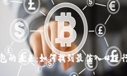 ```xml
区块链钱包的未来：如何找到最佳入口进行安全投资