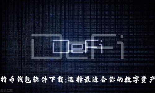 安全的比特币钱包软件下载：选择最适合你的数字资产保护方案