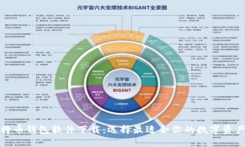 安全的比特币钱包软件下载：选择最适合你的数字资产保护方案