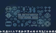 如何在iOS上下载和设置比