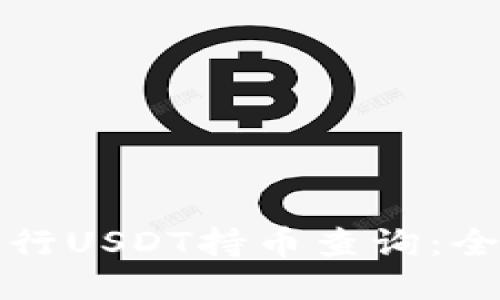 如何进行USDT持币查询：全面指南
