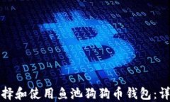 如何选择和使用鱼池狗狗
