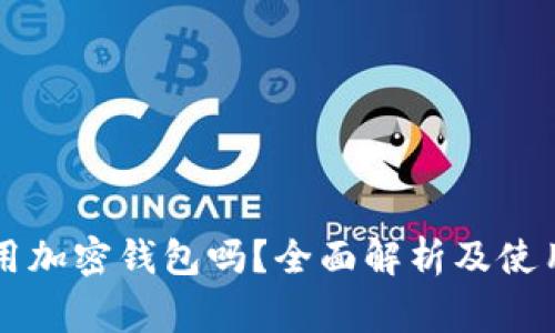 中国能使用加密钱包吗？全面解析及使用注意事项