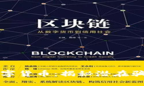 电子钱包与数字货币：揭秘潜在骗局与防范措施
