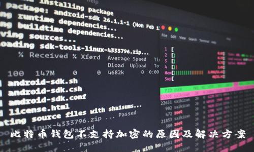 比特币钱包不支持加密的原因及解决方案