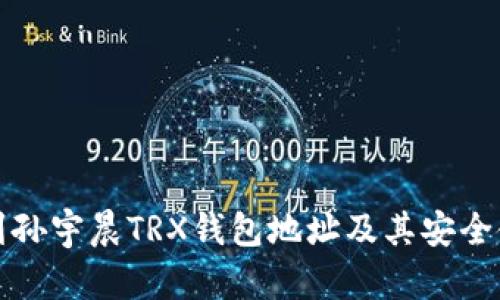 如何找到孙宇晨TRX钱包地址及其安全使用指南