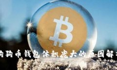 狗狗币钱包体积庞大的原