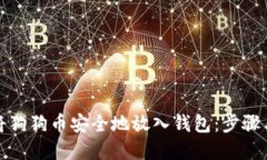 如何将狗狗币安全地放入