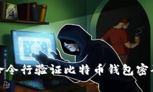 如何通过命令行验证比特币钱包密码的安全性