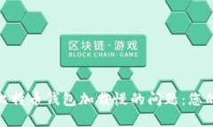 如何解决比特币钱包加载慢的问题：您的用户体