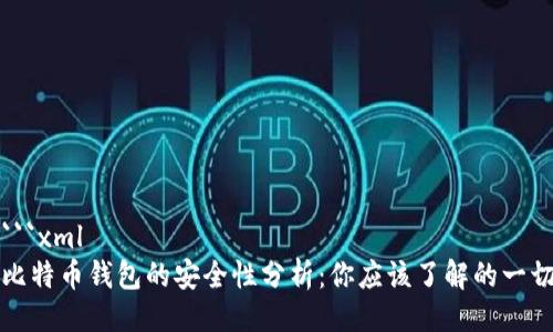 ```xml
比特币钱包的安全性分析：你应该了解的一切