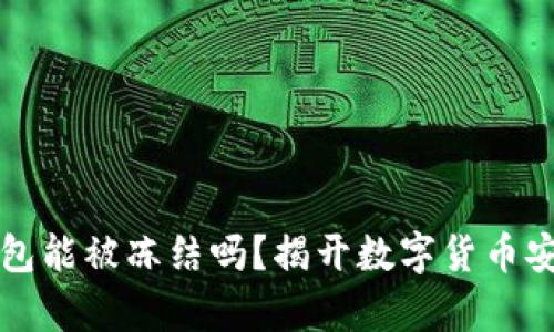 比特币钱包能被冻结吗？揭开数字货币安全的真相